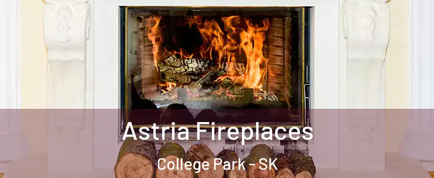  Astria Fireplaces College Park - SK