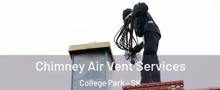  Chimney Air Vent Services College Park - SK