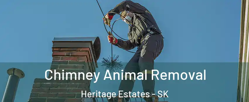  Chimney Animal Removal Heritage Estates - SK