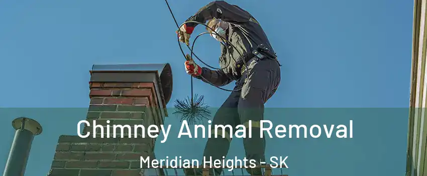 Chimney Animal Removal Meridian Heights - SK
