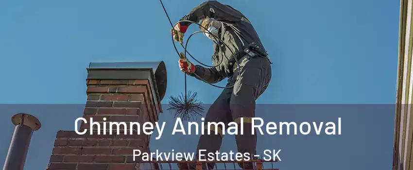  Chimney Animal Removal Parkview Estates - SK
