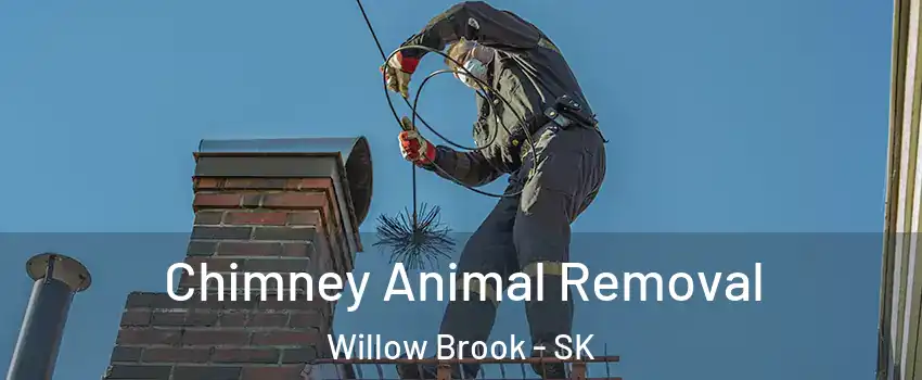 Chimney Animal Removal Willow Brook - SK