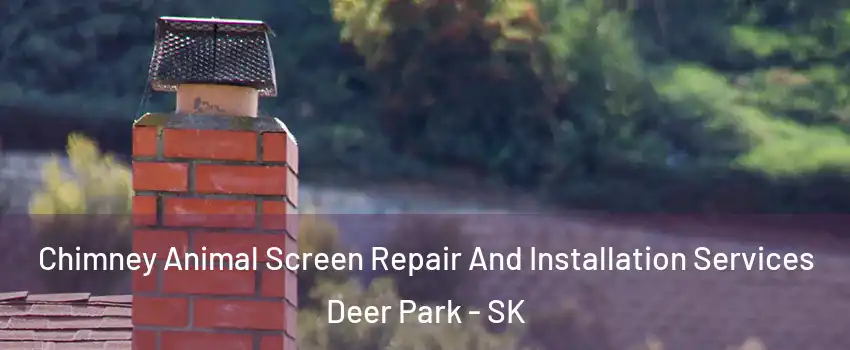  Chimney Animal Screen Repair And Installation Services Deer Park - SK