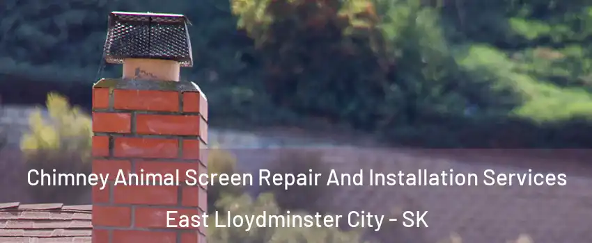  Chimney Animal Screen Repair And Installation Services East Lloydminster City - SK