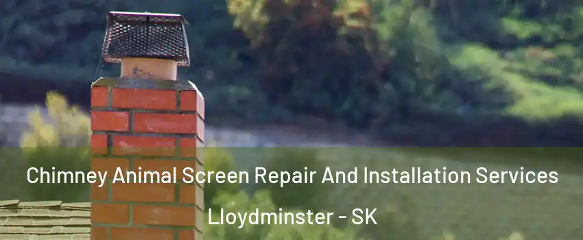  Chimney Animal Screen Repair And Installation Services Lloydminster - SK