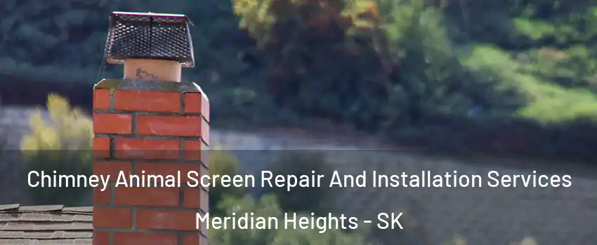  Chimney Animal Screen Repair And Installation Services Meridian Heights - SK