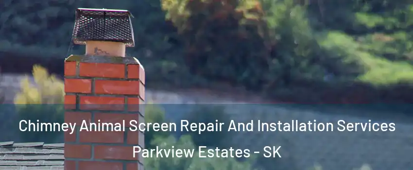  Chimney Animal Screen Repair And Installation Services Parkview Estates - SK
