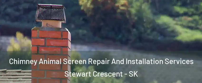  Chimney Animal Screen Repair And Installation Services Stewart Crescent - SK