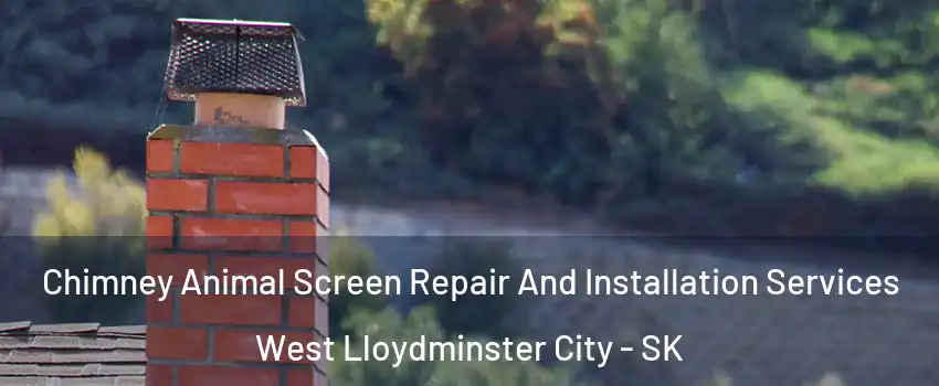  Chimney Animal Screen Repair And Installation Services West Lloydminster City - SK