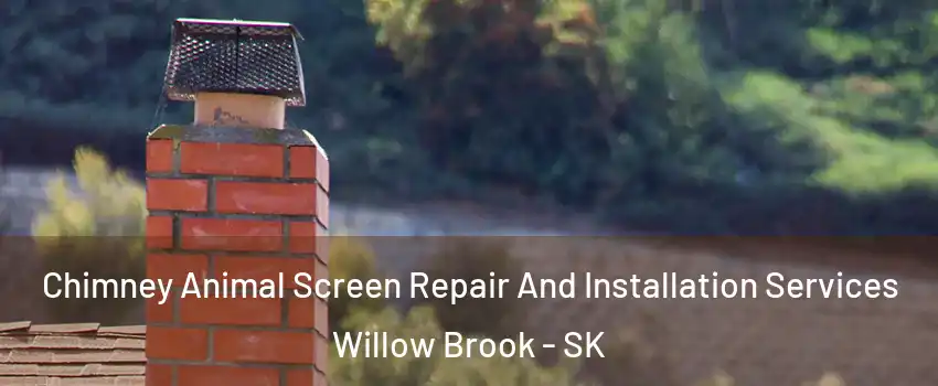  Chimney Animal Screen Repair And Installation Services Willow Brook - SK