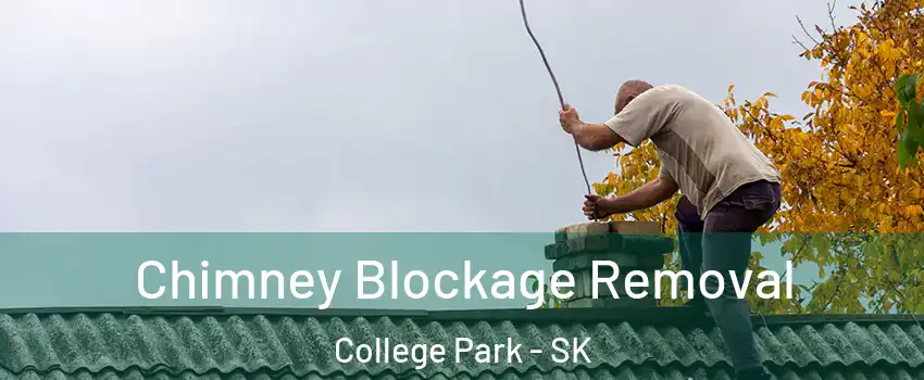  Chimney Blockage Removal College Park - SK