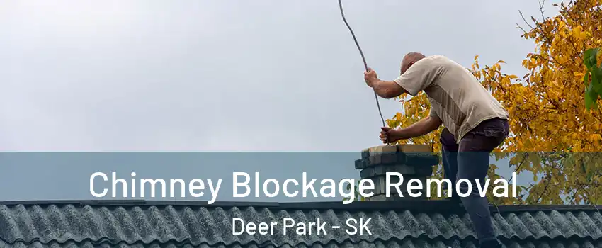  Chimney Blockage Removal Deer Park - SK