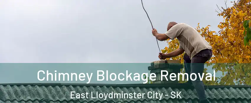  Chimney Blockage Removal East Lloydminster City - SK