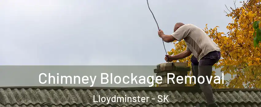  Chimney Blockage Removal Lloydminster - SK