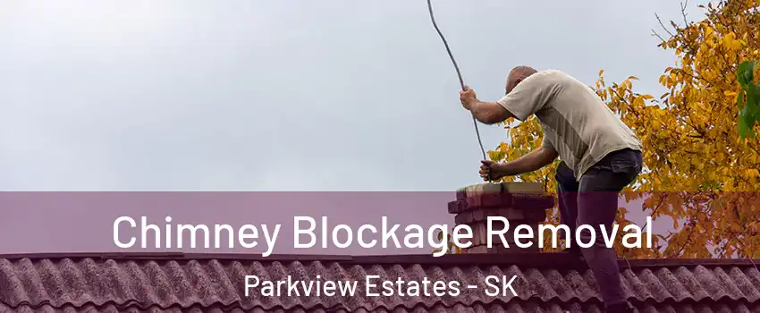  Chimney Blockage Removal Parkview Estates - SK