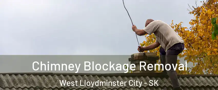  Chimney Blockage Removal West Lloydminster City - SK