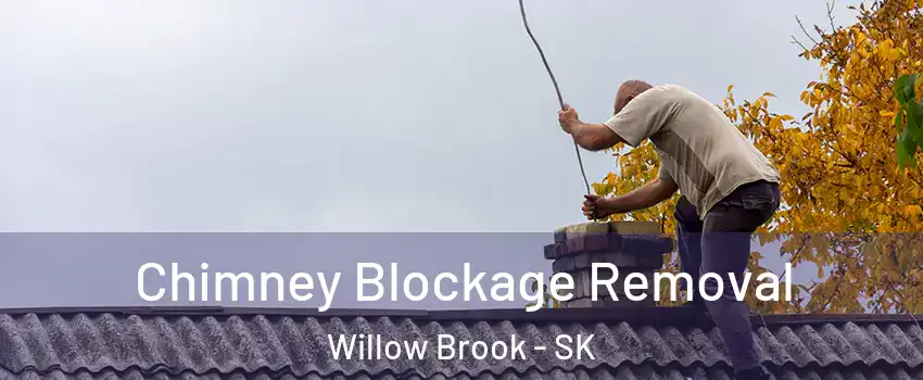  Chimney Blockage Removal Willow Brook - SK