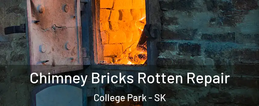  Chimney Bricks Rotten Repair College Park - SK