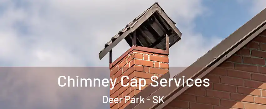  Chimney Cap Services Deer Park - SK