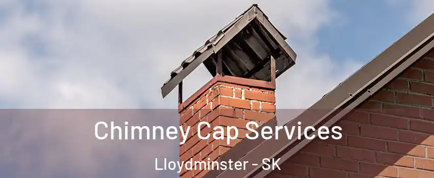  Chimney Cap Services Lloydminster - SK