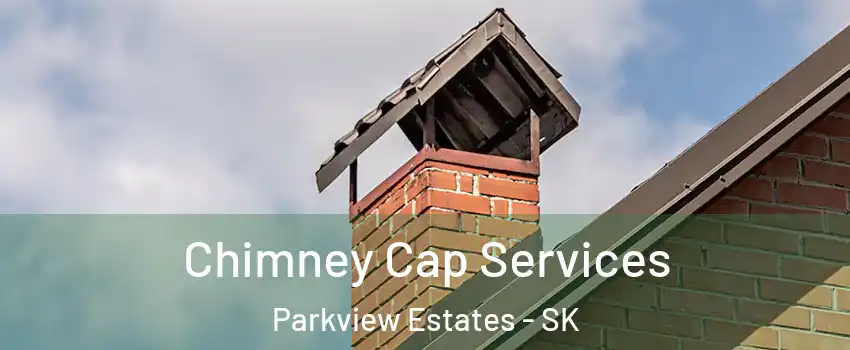  Chimney Cap Services Parkview Estates - SK