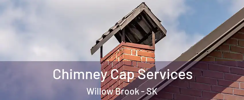  Chimney Cap Services Willow Brook - SK