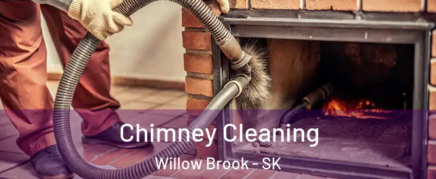  Chimney Cleaning Willow Brook - SK
