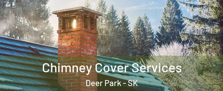  Chimney Cover Services Deer Park - SK