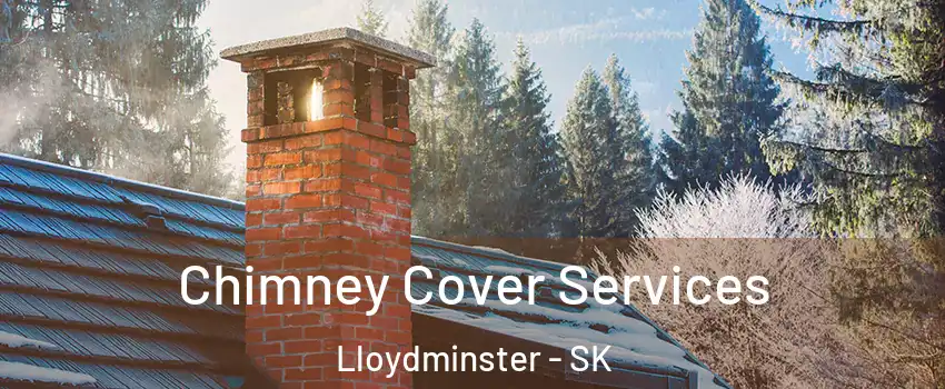  Chimney Cover Services Lloydminster - SK