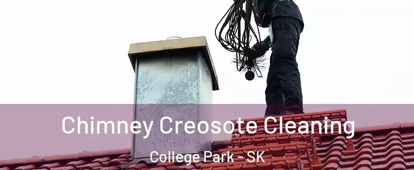  Chimney Creosote Cleaning College Park - SK