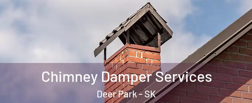 Chimney Damper Services Deer Park - SK