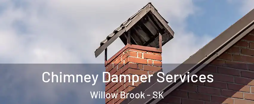  Chimney Damper Services Willow Brook - SK