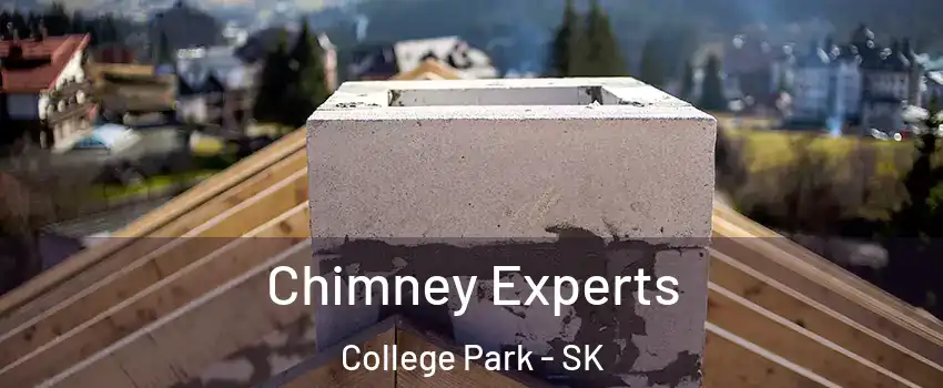 Chimney Experts College Park - SK