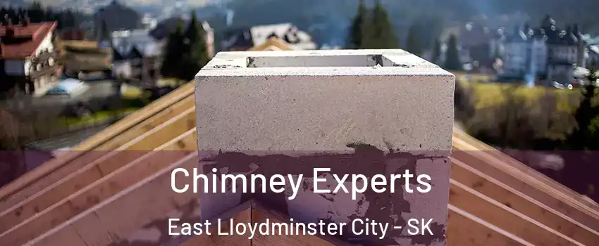 Chimney Experts East Lloydminster City - SK