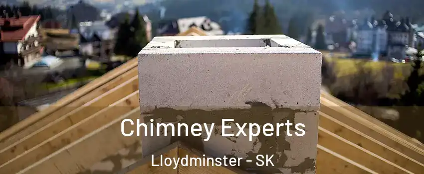  Chimney Experts Lloydminster - SK