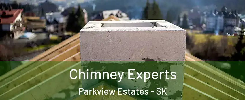 Chimney Experts Parkview Estates - SK