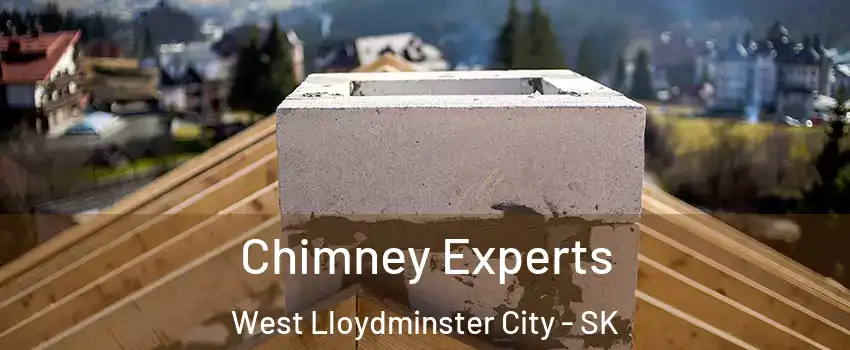  Chimney Experts West Lloydminster City - SK