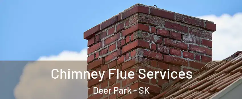  Chimney Flue Services Deer Park - SK