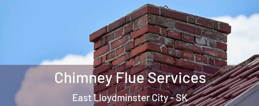  Chimney Flue Services East Lloydminster City - SK