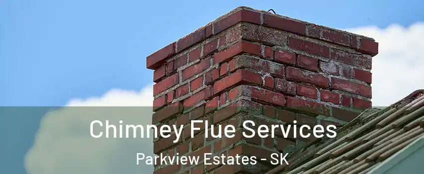  Chimney Flue Services Parkview Estates - SK