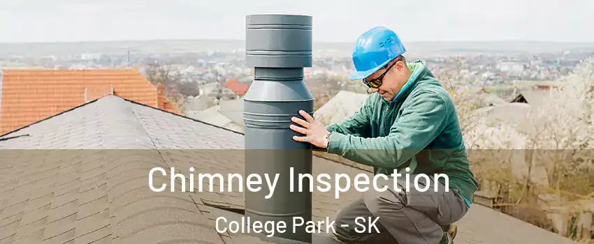  Chimney Inspection College Park - SK