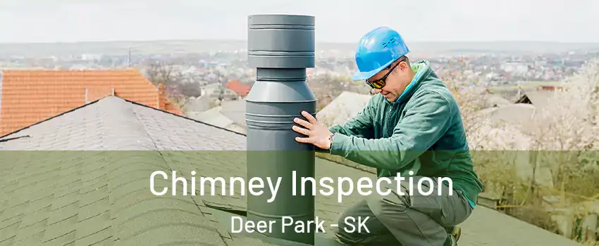  Chimney Inspection Deer Park - SK