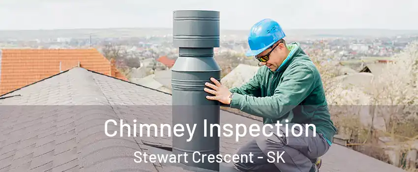  Chimney Inspection Stewart Crescent - SK