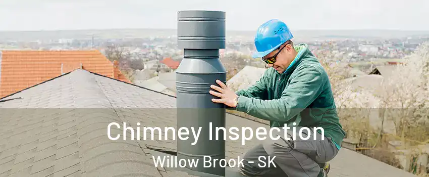  Chimney Inspection Willow Brook - SK
