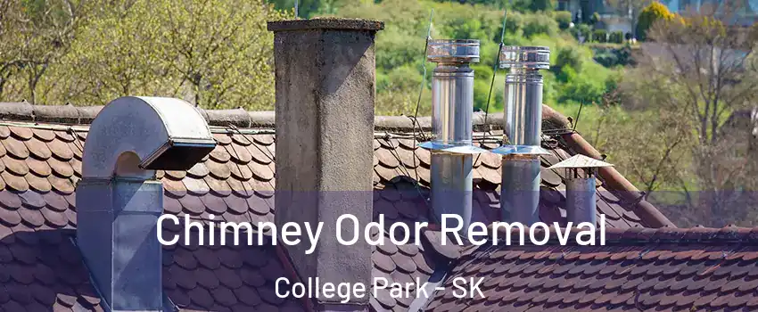  Chimney Odor Removal College Park - SK