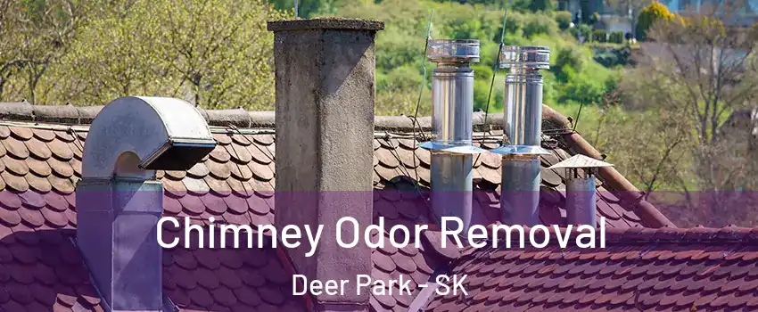  Chimney Odor Removal Deer Park - SK