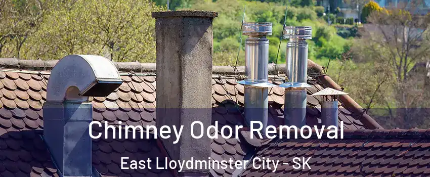  Chimney Odor Removal East Lloydminster City - SK