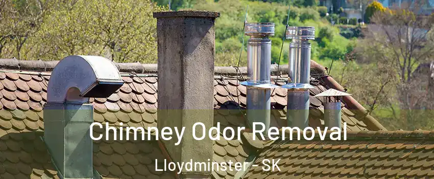  Chimney Odor Removal Lloydminster - SK