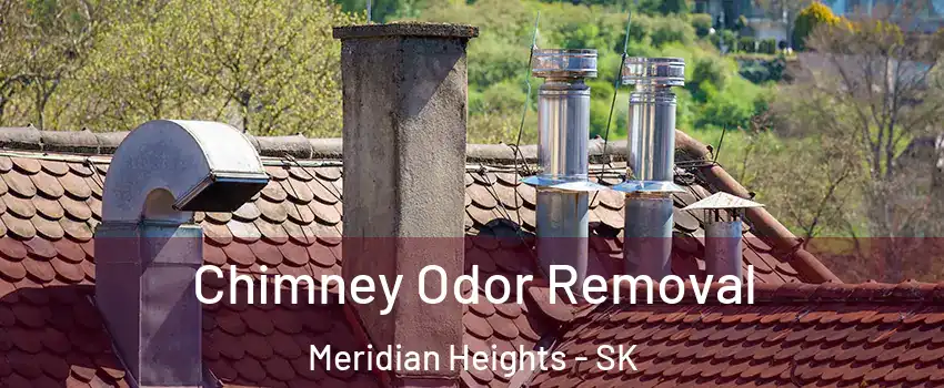  Chimney Odor Removal Meridian Heights - SK