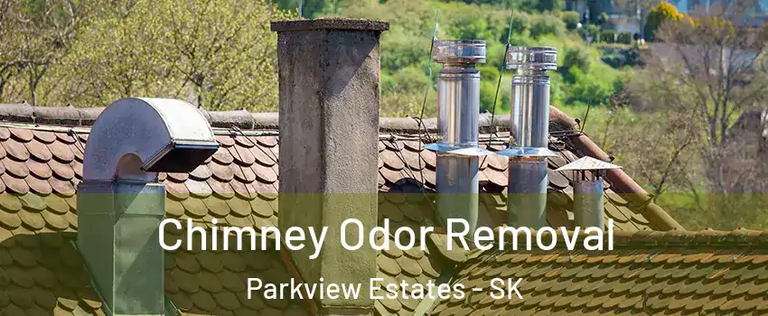  Chimney Odor Removal Parkview Estates - SK